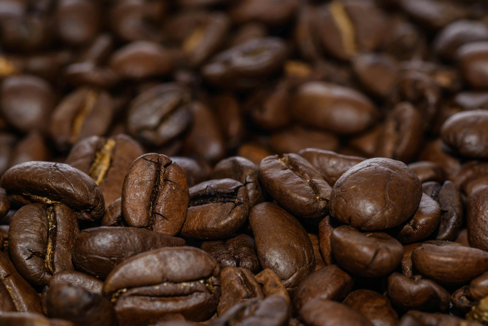 Coffee Shops in Olde Kensington, Philadelphia: What the Data Shows